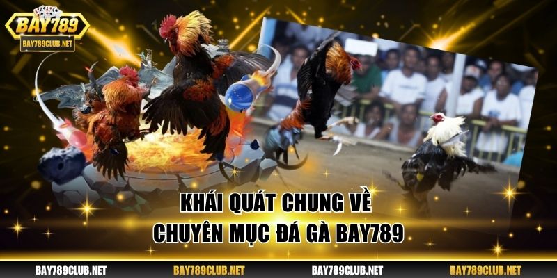 Khái quát chung về chuyên mục đá gà BAY789